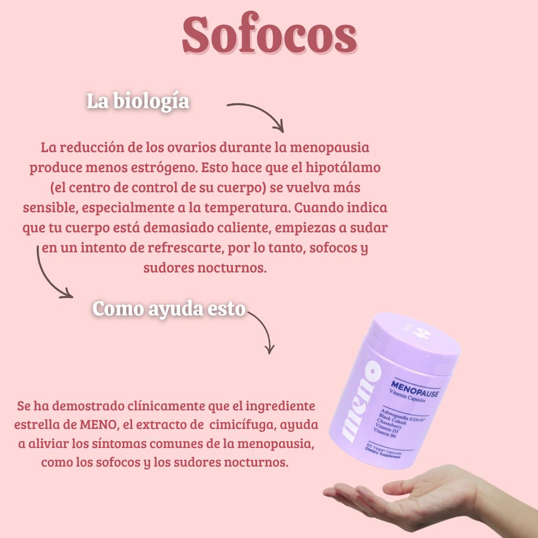 MENO:  Probiótico para el equilibrio hormonal femenino.