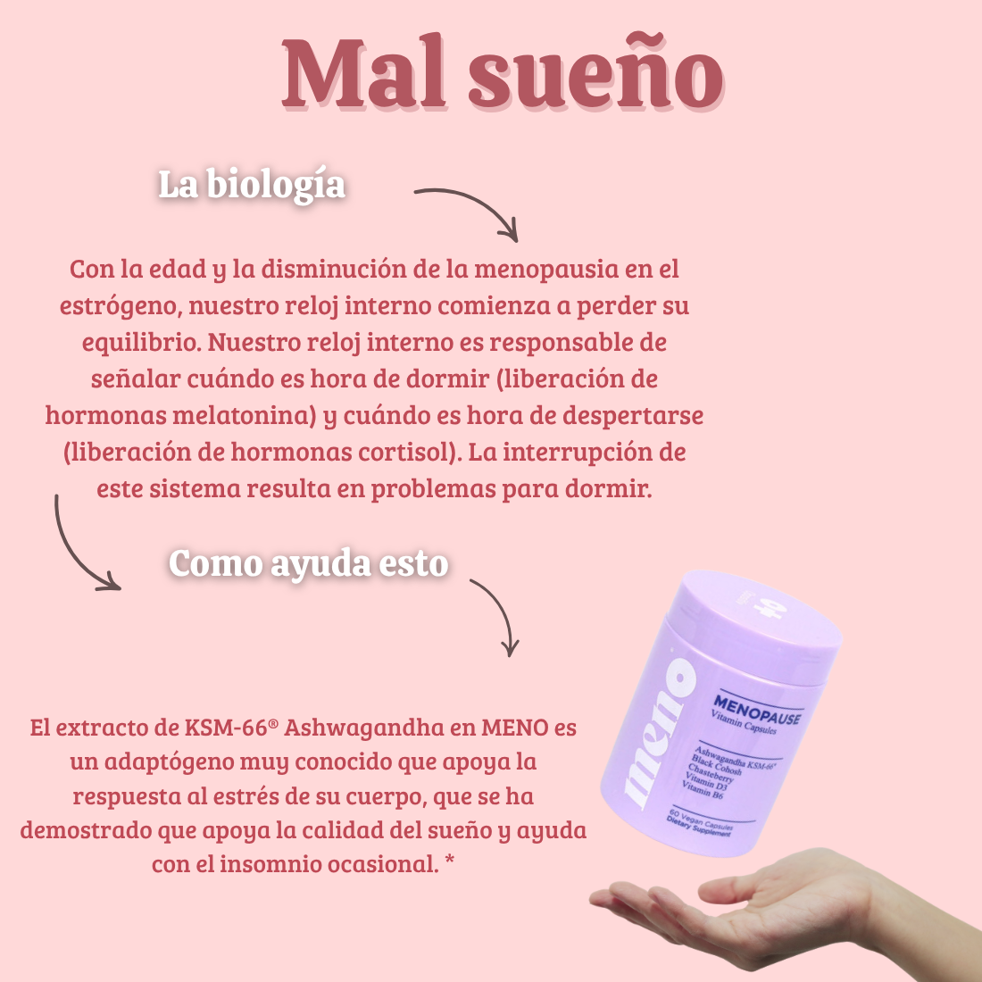 MENO:  Probiótico para el equilibrio hormonal femenino.