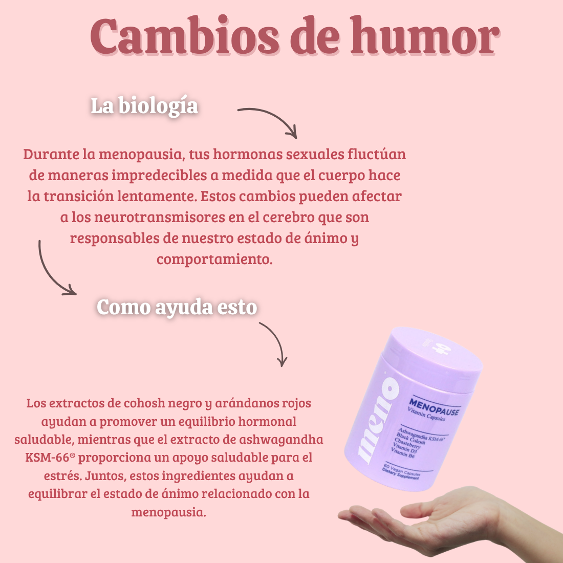 MENO:  Probiótico para el equilibrio hormonal femenino.
